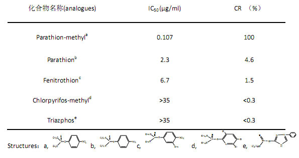 小分子抗體定制開發(fā)流程