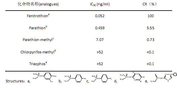 小分子抗體定制開發(fā)流程