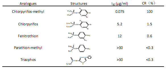 小分子抗體定制開發(fā)流程