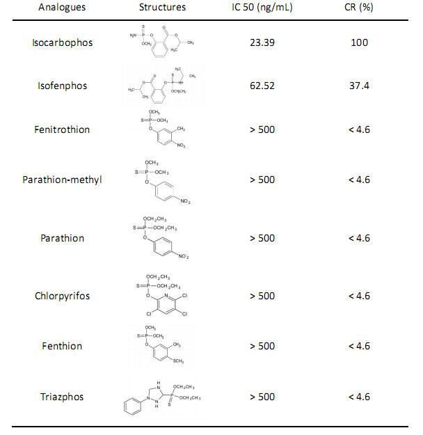 小分子抗體定制開發(fā)流程