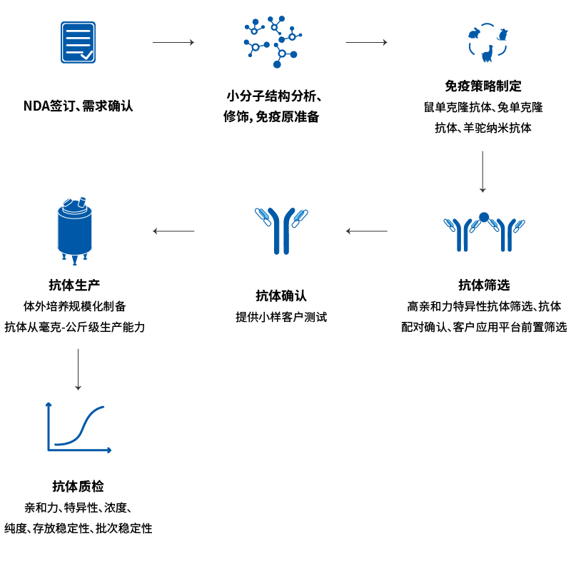 小分子抗體定制開發(fā)流程
