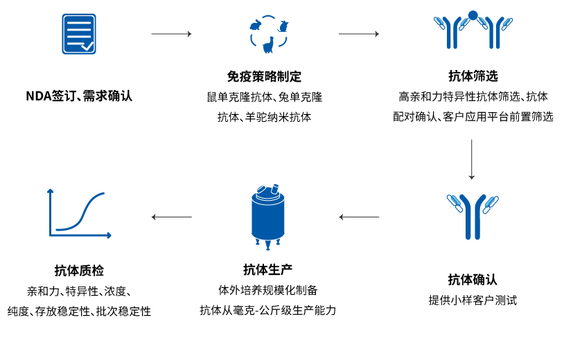配對(duì)抗體定制開發(fā)流程
