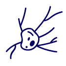 神經(jīng)類(lèi)