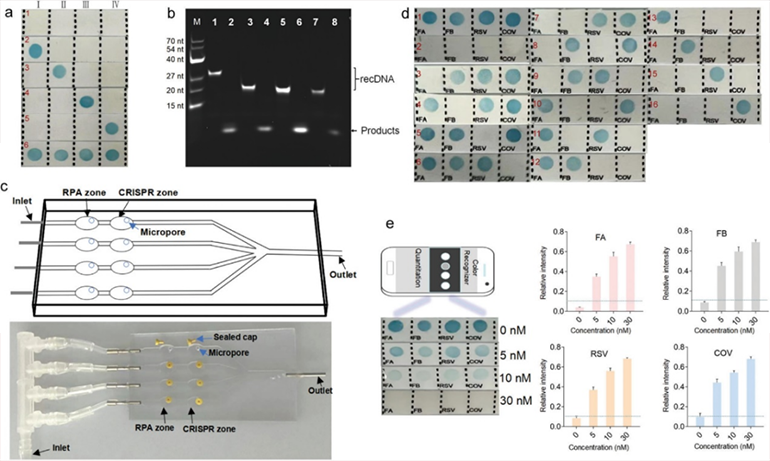 CRISPR-RDB可行性分析圖