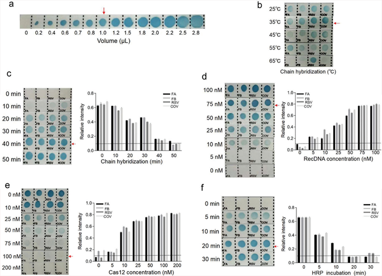 CRISPR-RDB關鍵參數(shù)優(yōu)化圖