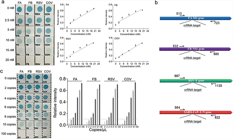CRISPR-RDB檢測靈敏度圖