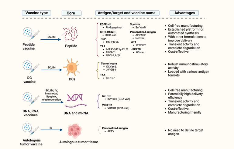 不同疫苗種類圖