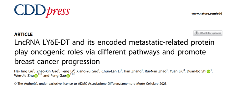 論文標(biāo)題圖