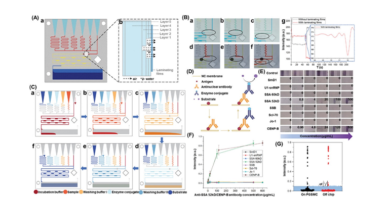 順序釋放原理闡述和驗證圖