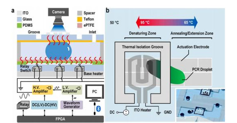 超快速EWOD PCR系統(tǒng)原理圖