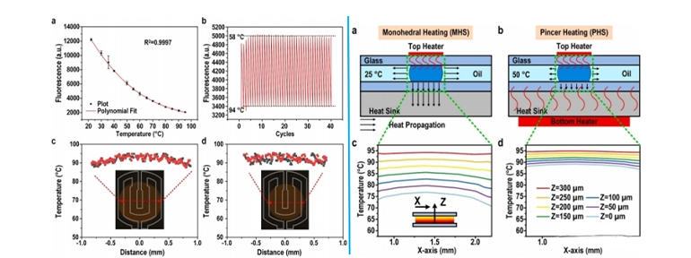 左）SRB溫度計(jì)校準(zhǔn)和液滴溫度傳感。右）MHS與PHS熱傳播示意圖及比較圖