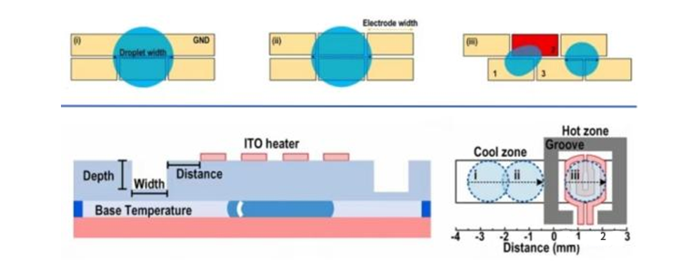 上）電極配置方案的演變。其中(iii)為本研究提出的聯(lián)鎖電極結(jié)構(gòu)。下）頂部加熱器周圍設(shè)置的不同深度、寬度和邊緣距離的溫度隔離槽圖