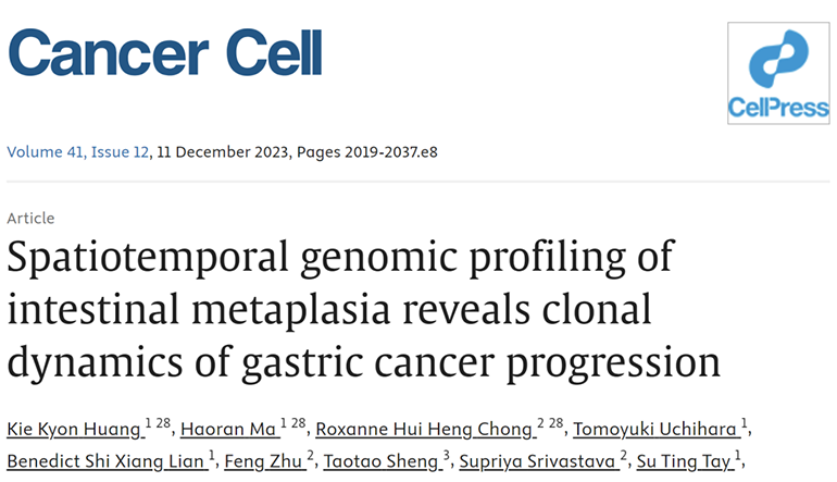 論文標(biāo)題圖
