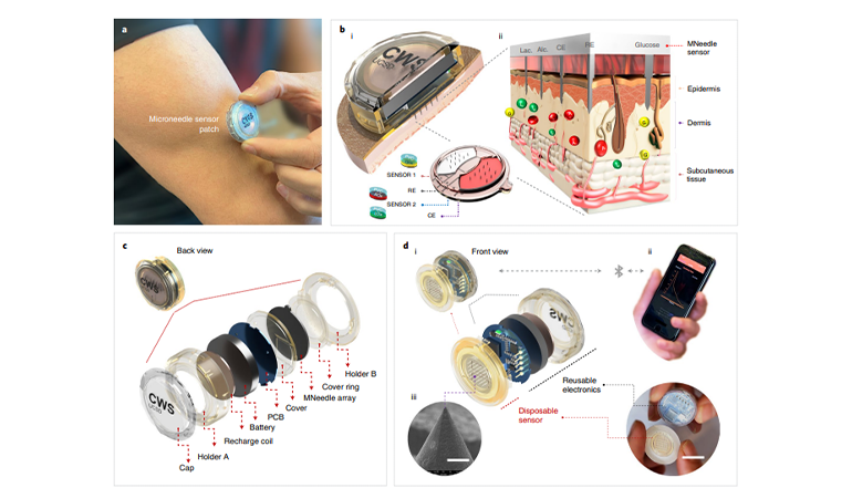 基于多路微針的可穿戴傳感器系統(tǒng)及其子組件圖