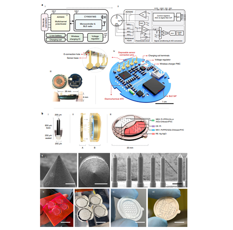 電子設(shè)計(jì)、微針制造和器件組裝圖