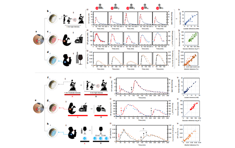單個(gè)分析物傳感器的體內(nèi)性能圖