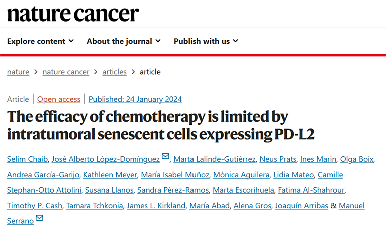 論文標(biāo)題圖