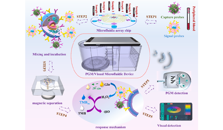 一種同時(shí)捕獲和識(shí)別CTCs的微流控裝置原理圖