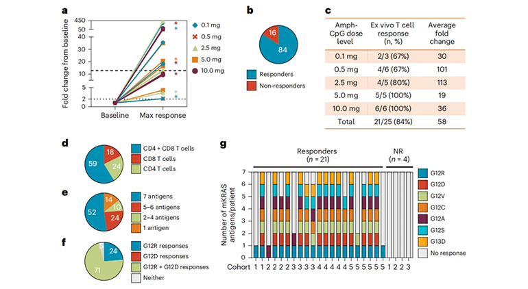 ELI-002 2P誘導(dǎo)了強(qiáng)大的mKRAS特異性T細(xì)胞反應(yīng)