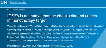 期刊研究論文圖