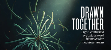 期刊研究論文圖