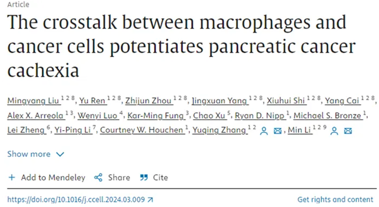 論文標(biāo)題圖
