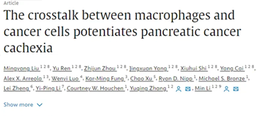 期刊研究論文圖