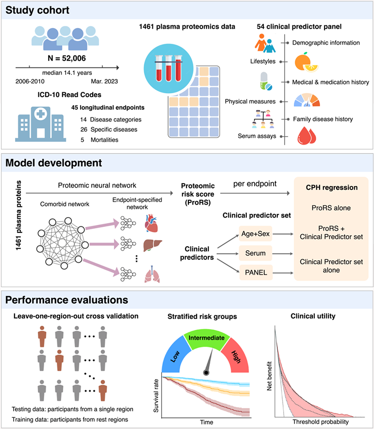 該課題研究思路