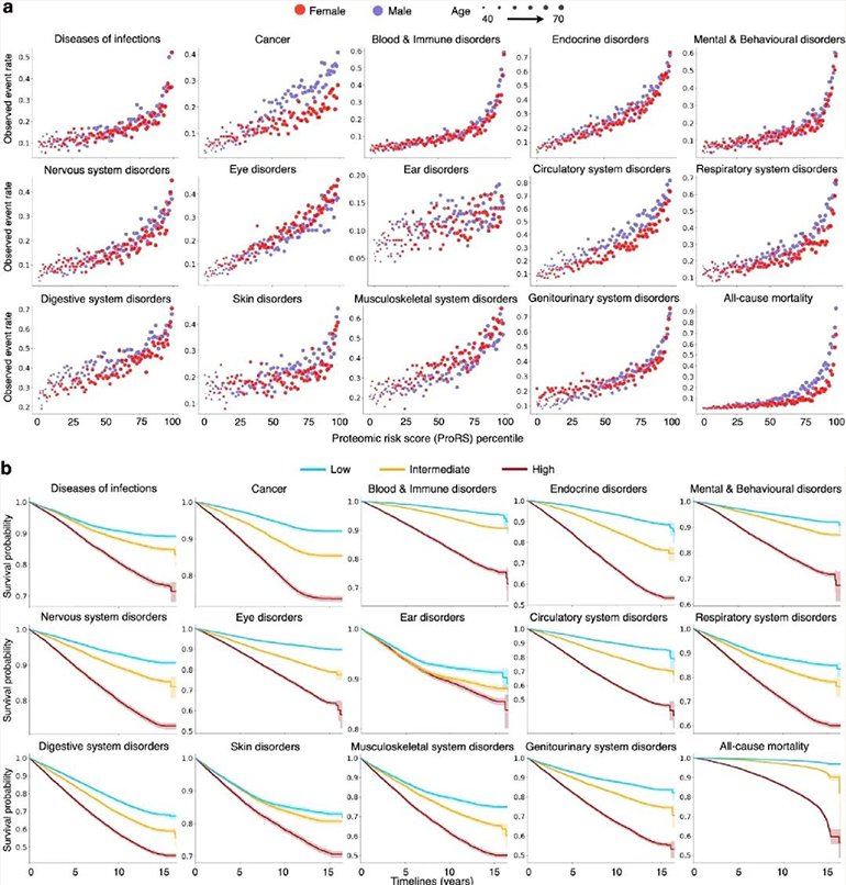 ProRS對各疾病及死亡的關(guān)聯(lián)散點(diǎn)圖和風(fēng)險分層圖
