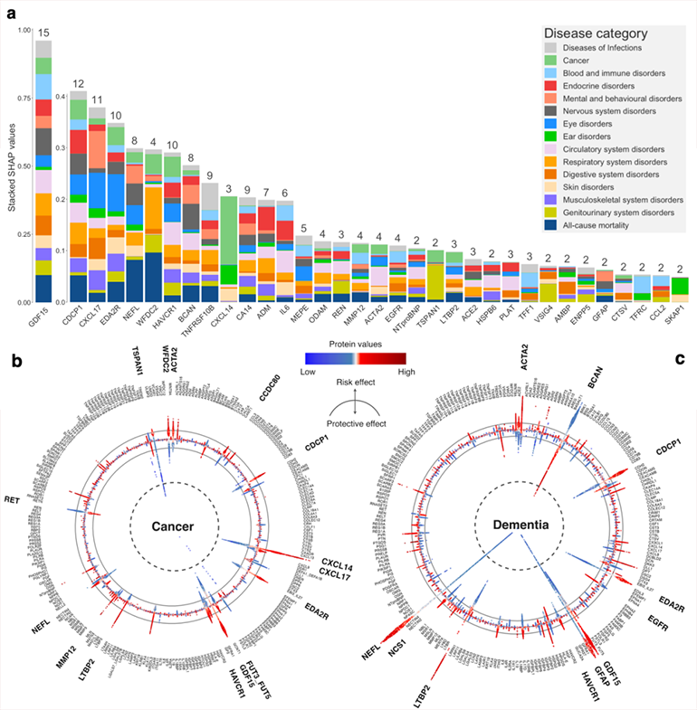 蛋白在系統(tǒng)性健康疾病預(yù)測中的作用